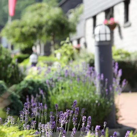 Feriested Floreal La-Roche-en-Ardenne