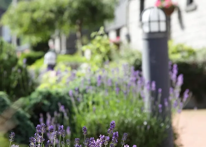 فندق Floreal لاروش ان اردين